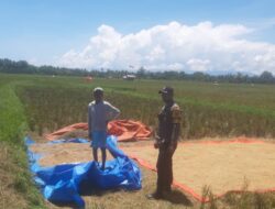 Bhabinkamtibmas Mengujungi Kampung Tangguh Kelurahan Kulango Sebagai Bahan contohan Ketahanan Pangan