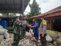 Kegiatan Pendistribusian Bantuan Ubi untuk masyarakat