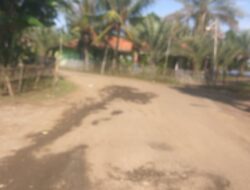 Jalan AKSES wisata bahari pantai SAMUDRA BARU,harapkan Perhatian PEMKAB Dinas PUPR Karawang