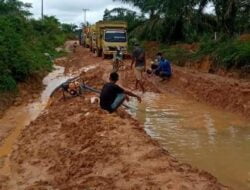 Dua Desa Tanjung Lebar Lusun 1 Dan 2 Kondisi Sangat Memperhatikan