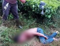 Warga kayu aro kab kerinci Di hebohkan dengan penemuan laki2 tergeletak Di kebun Teh