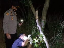 Ditemukan Gantung Diri Di Pohon Akasia, Polisi Olah TKP Di Rumah Kebun