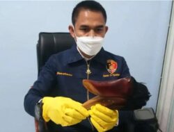 Polisi Amankan Seorang Pemuda Lantaran Memburu Satwa Yang Dilindungi