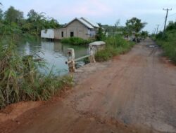 Warga Kampung Kuala Teladas Kecamatan Dente Teladas Kabupaten Tulangbawang keluhkan Jembatan Paret 2 (Dua) dan Paret 3 (Tiga) nyaris Putus.