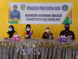 Pengukuhan Pengurus Paud di Aula Kantor Kecamatan Tebo Ilir, Ini Pesan Anggota DPR RI Komisi IX