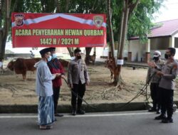 Kapolda Aceh Serahkan Hewan Qurban kepada Masyarakat