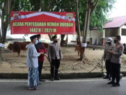 Jelang Idul Adha, Kapolda Aceh Serahkan Hewan Qurban kepada Masyarakat