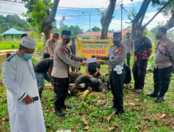 Idul Adha 1442 H, Polres Buol Sembelih 7 Ekor Hewan Qurban