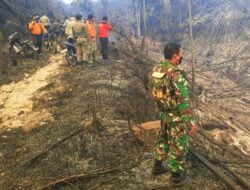 Seluas 50 ha Lahan di Hutan Lindung Bukit Suligi Dilalap Sijago Merah