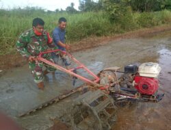 Babinsa Koramil Kodim 0103/Aut Bantu Petani Mengolah Lahan Pertanian