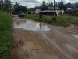 Jalan desa mengupeh kecamatan tengah ilir kabupaten tebo propinsi rusak parah.