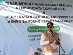 Pembudidaya Ikan Milenial Mulai Budi Daya Udang Vaname