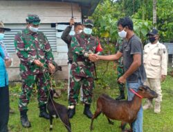 Dandim 0115/Simeulue memberikan Bantuan Kambing kepada masyarakat,