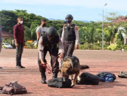 Atraksi Anjing Pelacak K-9 di Lapangan Polda Aceh, Disaksikan Kapolda Aceh