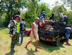 Ratusan Warga Dari Berbagai Kelompok Menyerang Wilayah Desa Baru Sinjai Tengah