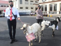 Kapolres Lhokseumawe Hadiahkan Lima Ekor Kambing Dan Ini Nama-namanya