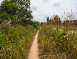 Kurangnya Perhatian Jalan Poros Km 68 Penghubung Kampung Way Dente