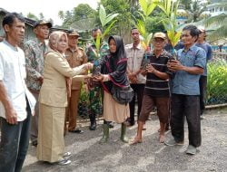 Pemdes Awe Kecil Salurkan Bibit Unggul Pinang Batara ke Warga masyarakatnya,