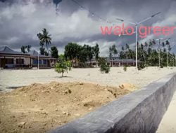 Walo Green makin elit, sementara anggaran Nias Selatan di duga defisit