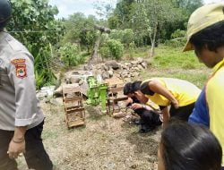 Mesin Traktor Milik Warga Takkuro Di Halaman Rumah Di Gondol Maling