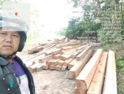 Kayu Plat Terungguk Dipinggir Jalan KM. 68 Jalan Negara Muara Teweh Puruk Cahu, Milik Sapa?