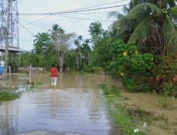 Akibat Hujan Deras Dua Kecamatan Di Aceh Utara Terendam Banjir