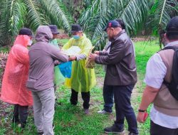 Tim Pidsus Kejati Sumut Koordinasi Dengan Tim Ahli dari IPB Terkait Kasus Mafia Tanah di Langkat