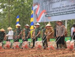 Kadispenad : Respons Cepat Satuan Jajaran TNI AD Olah Lahan Tidur Jadi Lahan Produktif