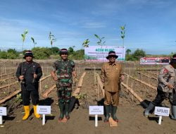 Dandim 0103/Aut Hadiri & Dukung Gerakan Menanam 77000 Pohon Mangrove.