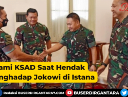 Momen Panglima TNI Salami KSAD Saat Hendak Menghadap Jokowi di Istana