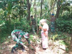 Satgas TMMD Kodim Subang Bantu Seorang Nenek Cari Kayu Bakar