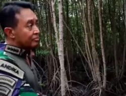 Amankan G20, Pasukan TNI Berhari-hari Sembunyi di Balik Semak Mangrove Tahura Bali