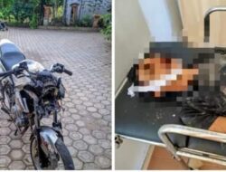 Kecelakaan Motor Vixion Vs Mobil Truk Adu kambing Satu Orang Warga Tubaba Tewas di Lokasi Kejadian