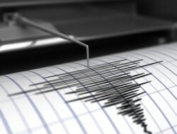 Jayapura Diguncang 334 Kali Gempa Selama 3 Hari, Warga Cemas