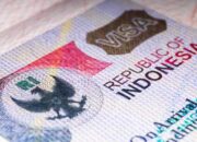 Kamerun Dicabut dari Daftar Calling Visa, Dirjen Imigrasi, Ada Pertimbangan Ekonomi dan Keamanan