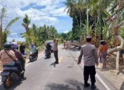 Gerak Cepat Anggota Polsek Ujung Loe, Tangani Kemacetan Akibat Pohon Tumbang.