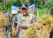 Pj. Walikota lakukan Panen Padi Sawah dari Kelompok Karya Tani di Kelurahan Silandit